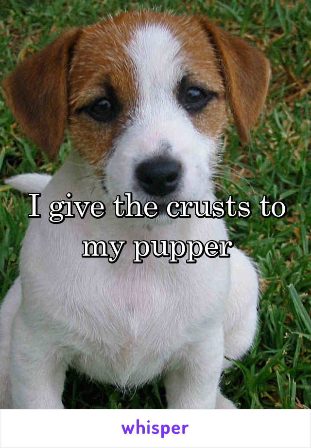 I give the crusts to my pupper