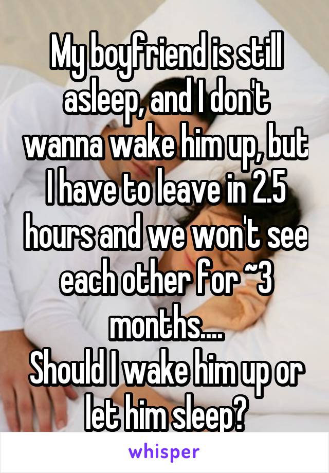 My boyfriend is still asleep, and I don't wanna wake him up, but I have to leave in 2.5 hours and we won't see each other for ~3 months....
Should I wake him up or let him sleep?