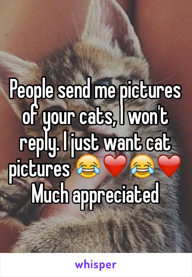People send me pictures of your cats, I won't reply. I just want cat pictures 😂❤️😂❤️ 
Much appreciated 