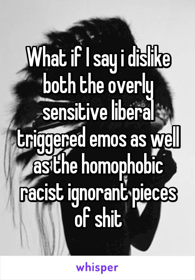 What if I say i dislike both the overly sensitive liberal triggered emos as well as the homophobic racist ignorant pieces of shit