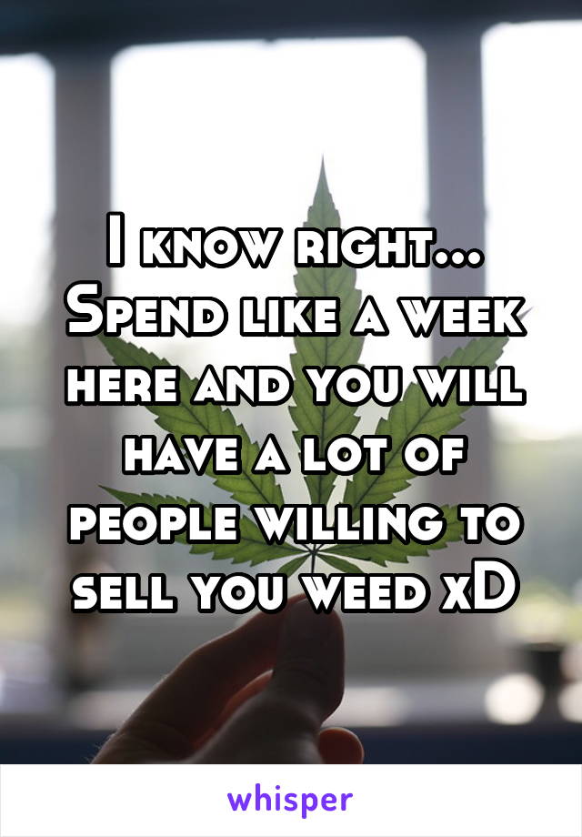 I know right... Spend like a week here and you will have a lot of people willing to sell you weed xD