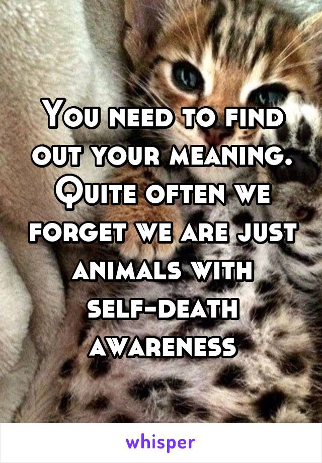 You need to find out your meaning. Quite often we forget we are just animals with self-death awareness