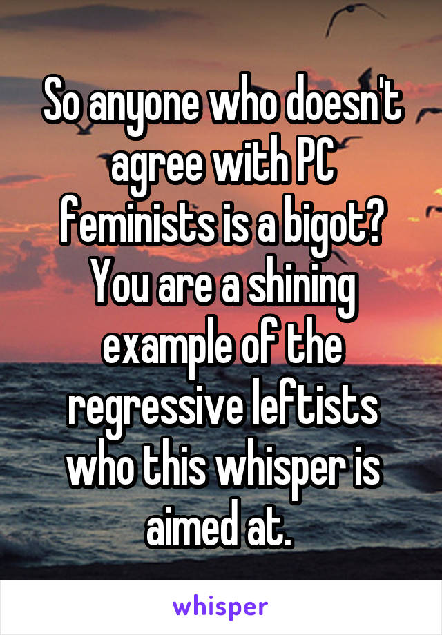 So anyone who doesn't agree with PC feminists is a bigot? You are a shining example of the regressive leftists who this whisper is aimed at. 