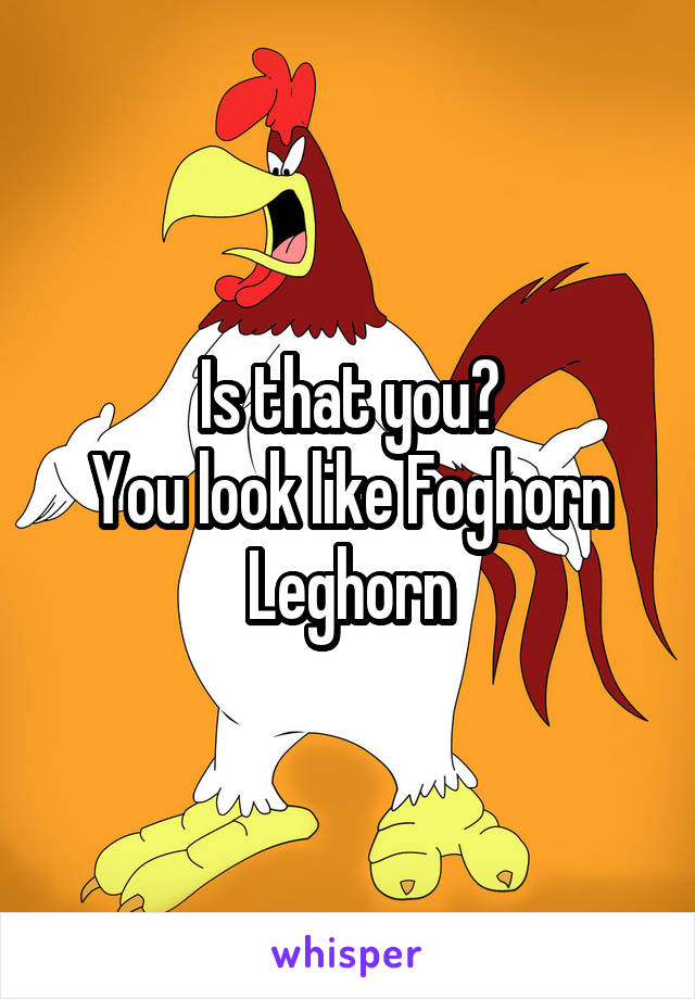 Is that you?
You look like Foghorn Leghorn
