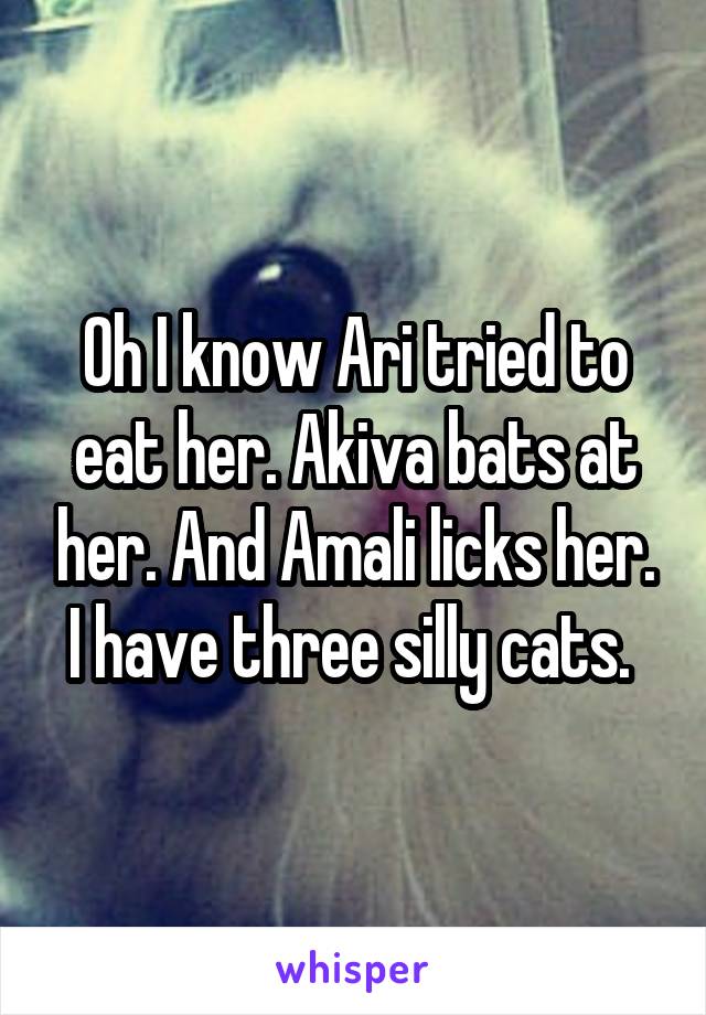 Oh I know Ari tried to eat her. Akiva bats at her. And Amali licks her. I have three silly cats. 