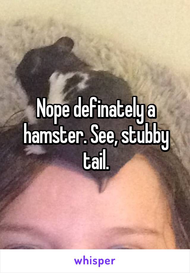 Nope definately a hamster. See, stubby tail.