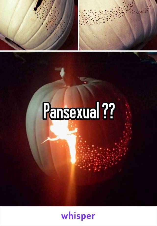 Pansexual ❤️