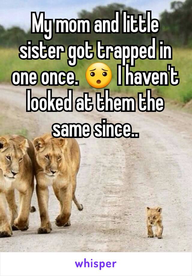 My mom and little sister got trapped in one once. 😯 I haven't looked at them the same since..
