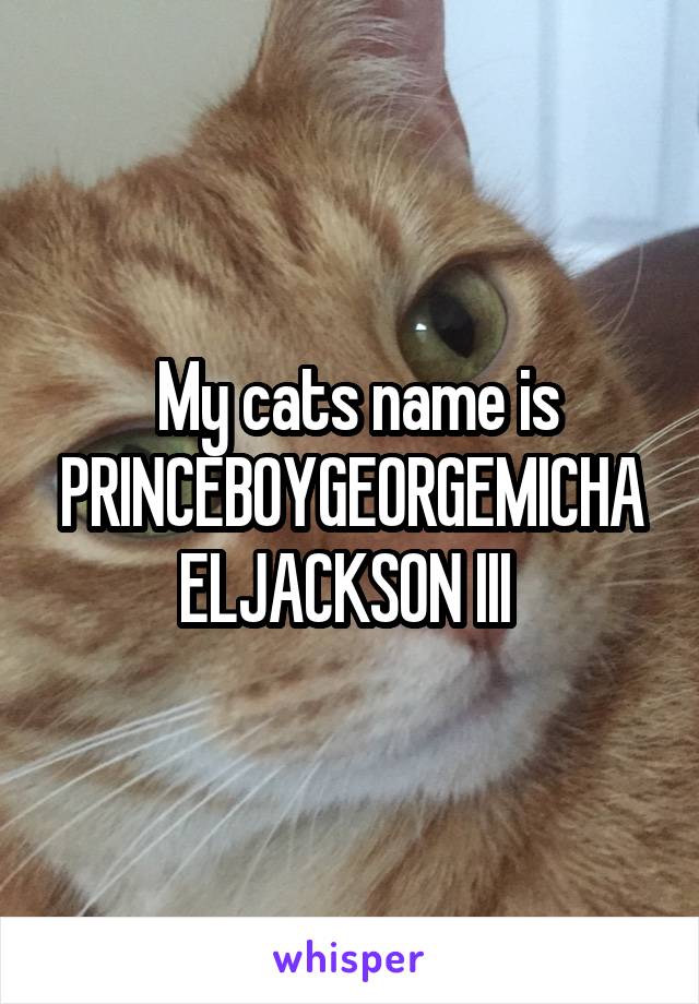  My cats name is PRINCEBOYGEORGEMICHAELJACKSON III 