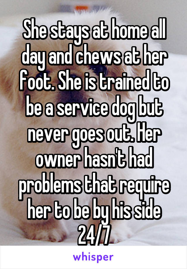 She stays at home all day and chews at her foot. She is trained to be a service dog but never goes out. Her owner hasn't had problems that require her to be by his side 24/7