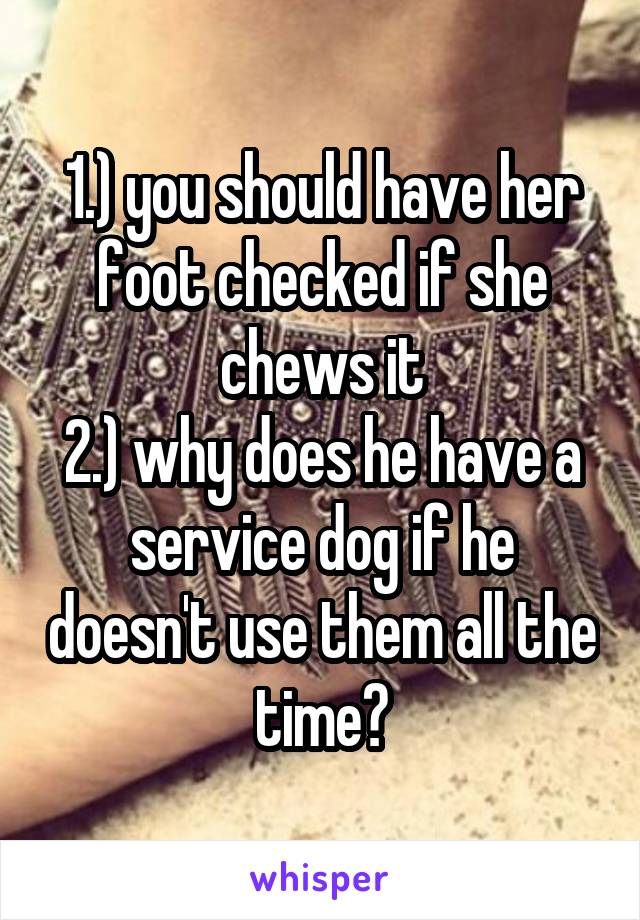 1.) you should have her foot checked if she chews it
2.) why does he have a service dog if he doesn't use them all the time?