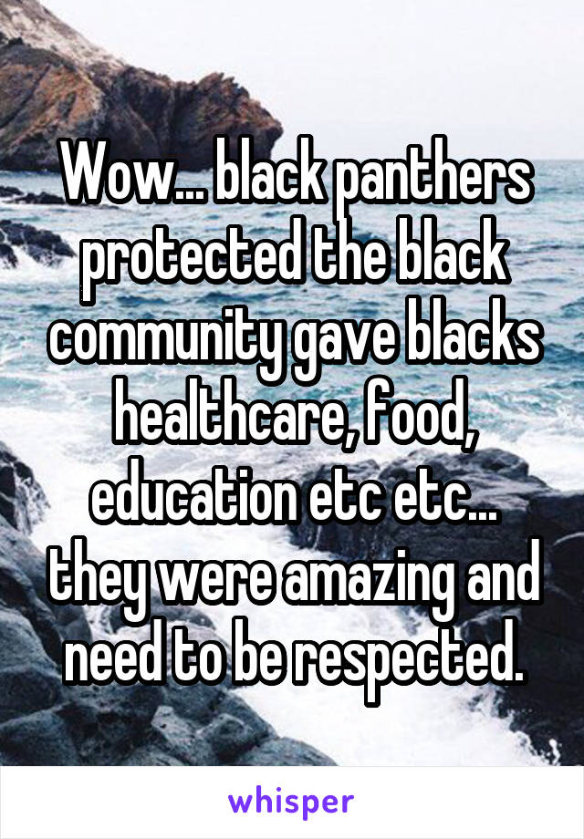 Wow... black panthers protected the black community gave blacks healthcare, food, education etc etc... they were amazing and need to be respected.