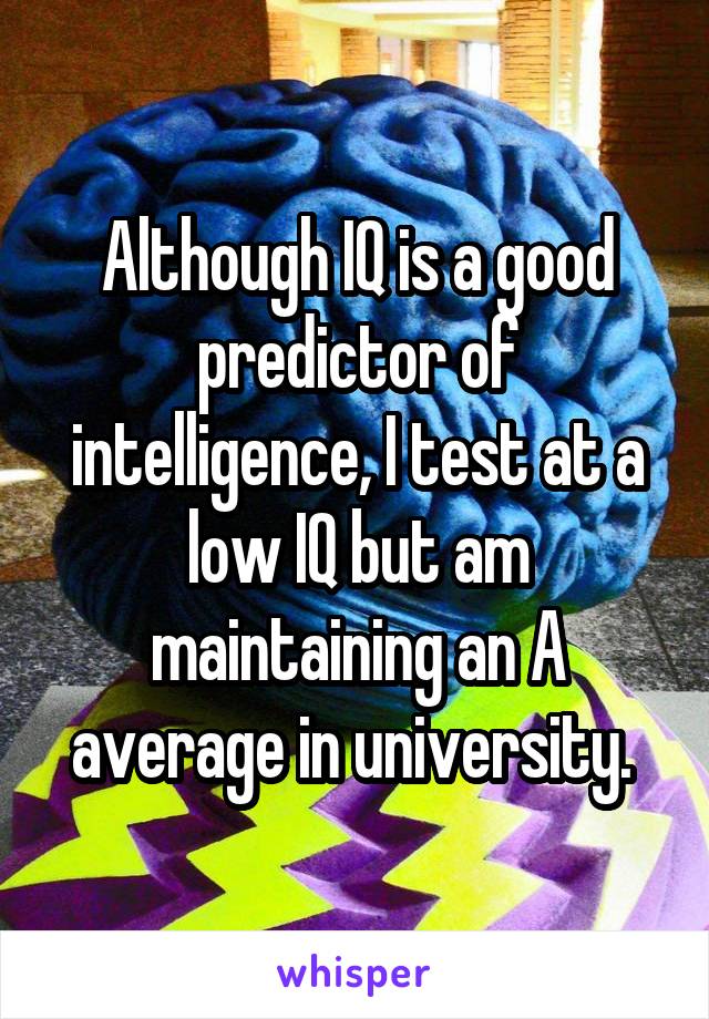 Although IQ is a good predictor of intelligence, I test at a low IQ but am maintaining an A average in university. 