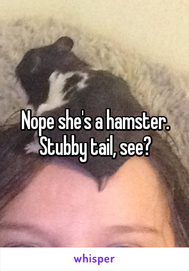Nope she's a hamster. Stubby tail, see?