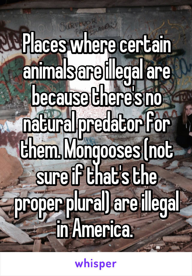 Places where certain animals are illegal are because there's no natural predator for them. Mongooses (not sure if that's the proper plural) are illegal in America. 