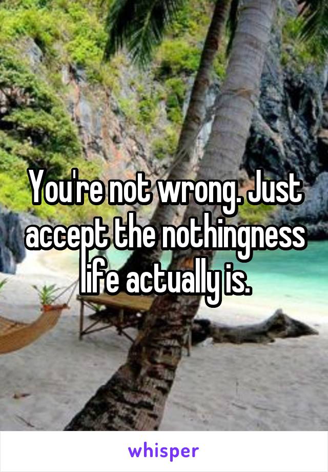 You're not wrong. Just accept the nothingness life actually is.
