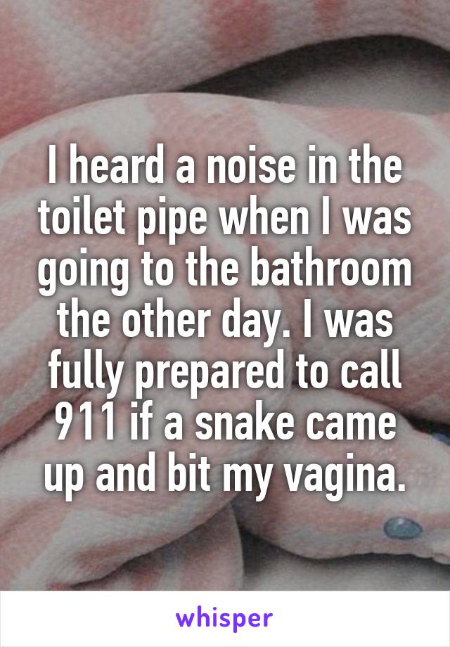 I heard a noise in the toilet pipe when I was going to the bathroom the other day. I was fully prepared to call 911 if a snake came up and bit my vagina.