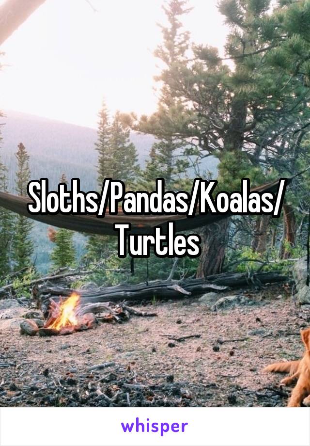 Sloths/Pandas/Koalas/Turtles