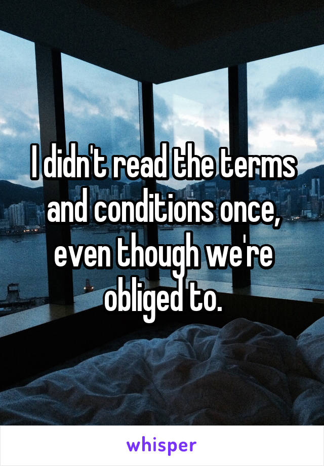 I didn't read the terms and conditions once, even though we're obliged to.