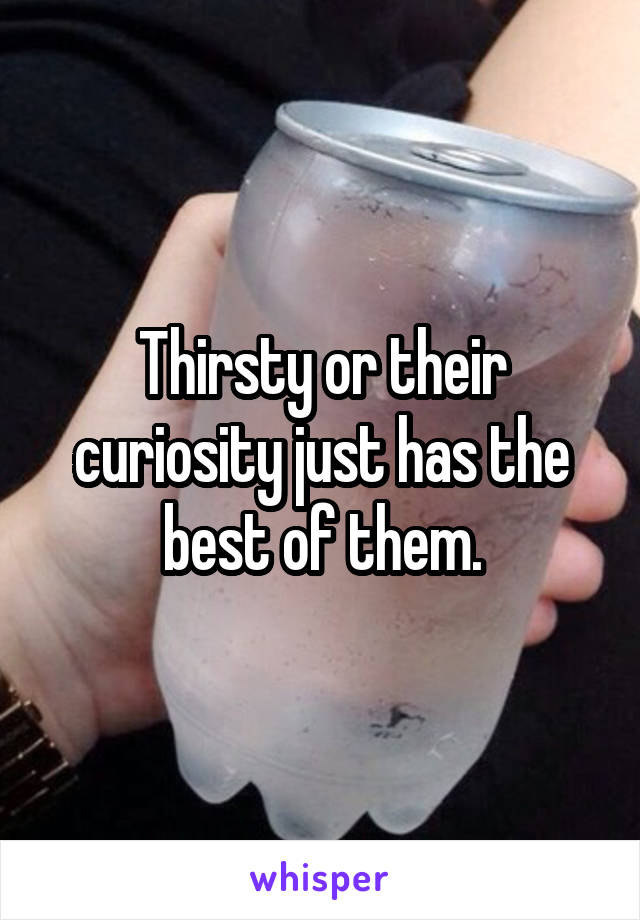 Thirsty or their curiosity just has the best of them.