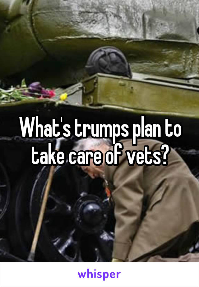 What's trumps plan to take care of vets?