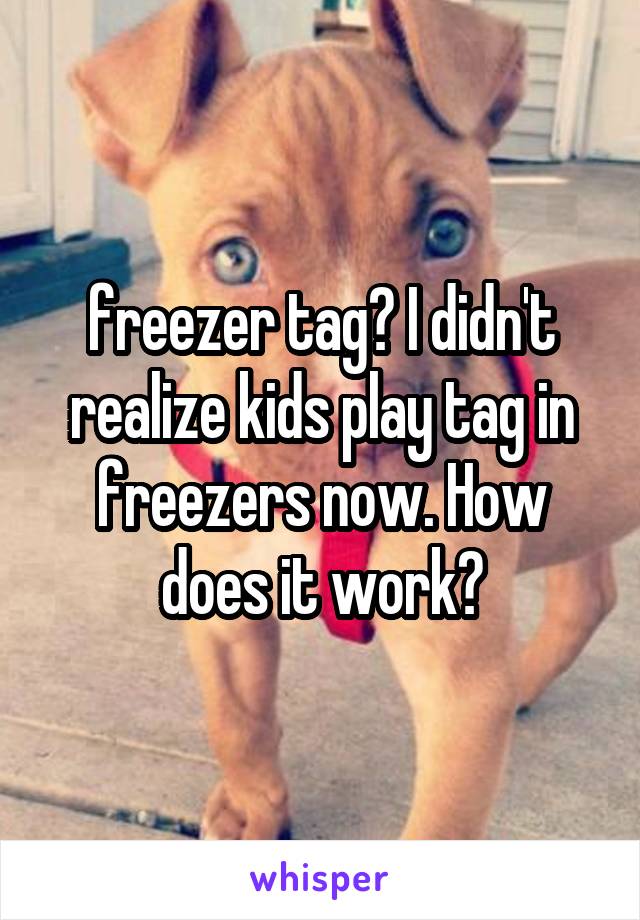 freezer tag? I didn't realize kids play tag in freezers now. How does it work?
