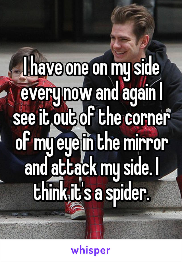 I have one on my side every now and again I see it out of the corner of my eye in the mirror and attack my side. I think it's a spider.