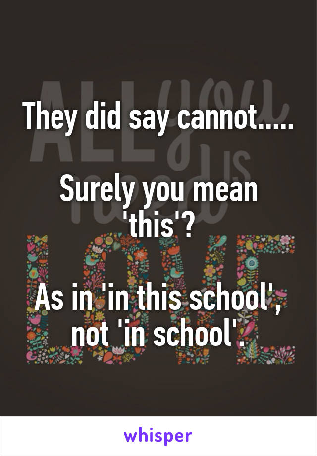 They did say cannot.....

Surely you mean 'this'?

As in 'in this school', not 'in school'.