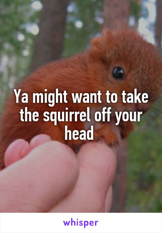 Ya might want to take the squirrel off your head 