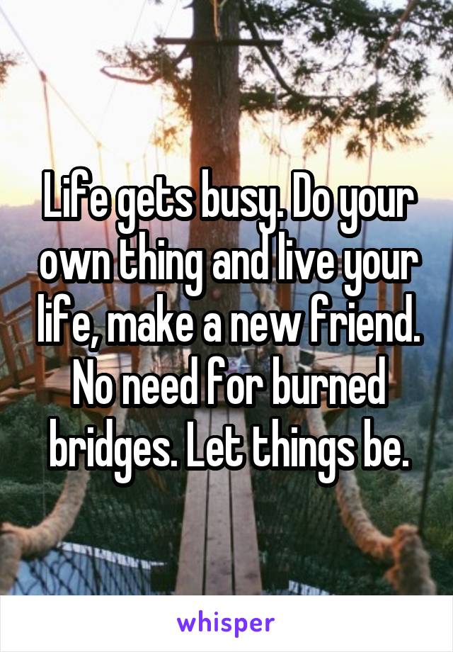 Life gets busy. Do your own thing and live your life, make a new friend. No need for burned bridges. Let things be.