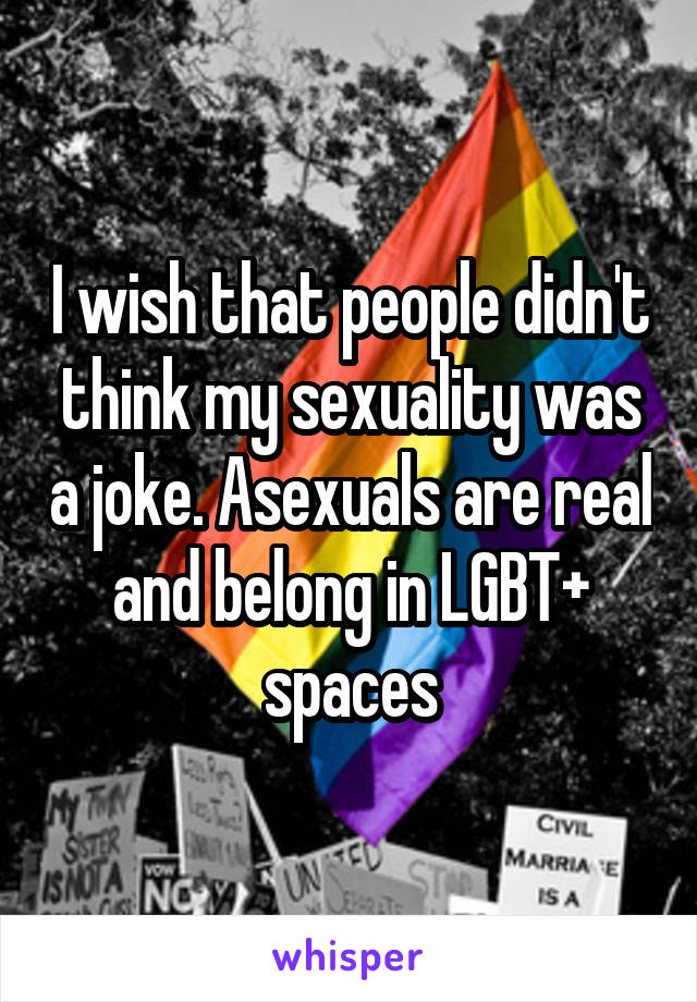 I wish that people didn't think my sexuality was a joke. Asexuals are real and belong in LGBT+ spaces