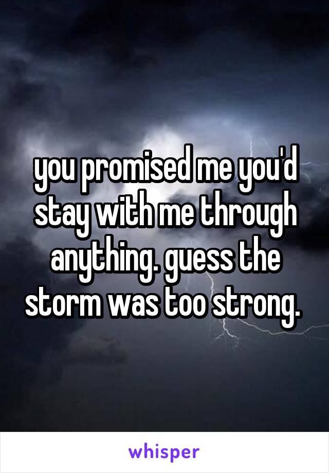 you promised me you'd stay with me through anything. guess the storm was too strong. 
