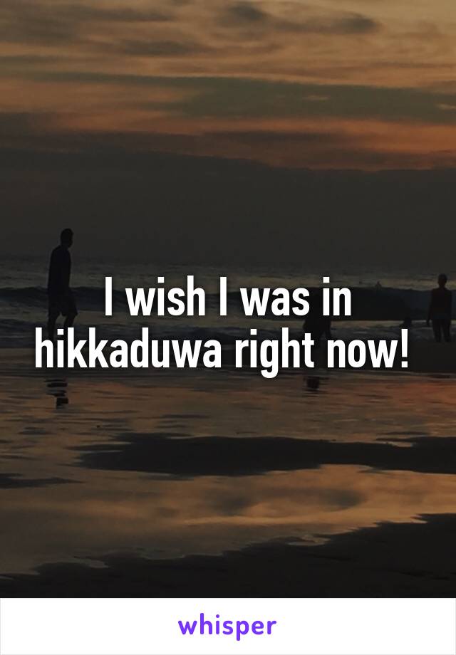 I wish I was in hikkaduwa right now! 