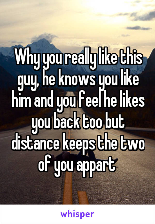 Why you really like this guy, he knows you like him and you feel he likes you back too but distance keeps the two of you appart 