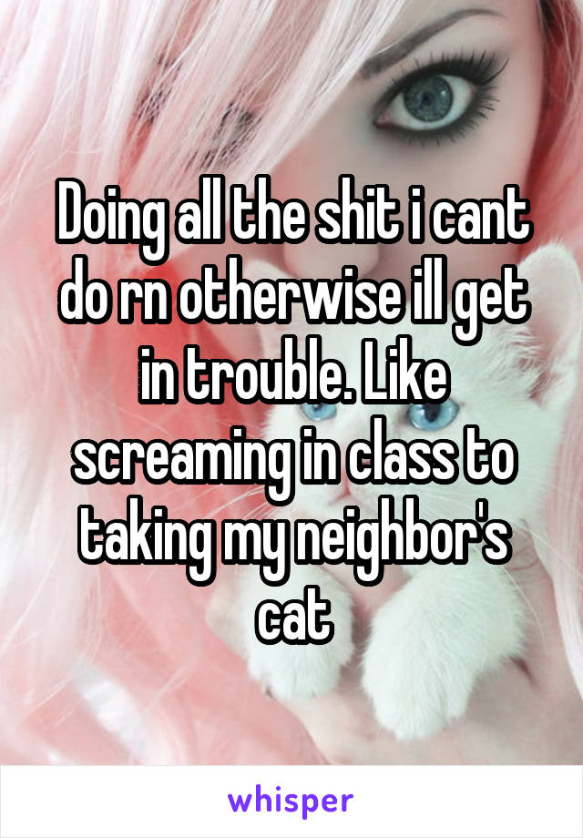 Doing all the shit i cant do rn otherwise ill get in trouble. Like screaming in class to taking my neighbor's cat
