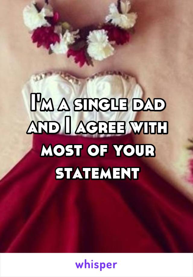 I'm a single dad and I agree with most of your statement