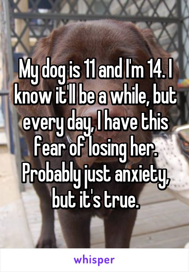 My dog is 11 and I'm 14. I know it'll be a while, but every day, I have this fear of losing her. Probably just anxiety, but it's true.