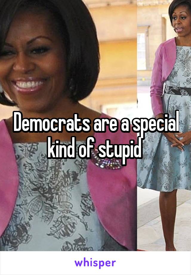 Democrats are a special kind of stupid 