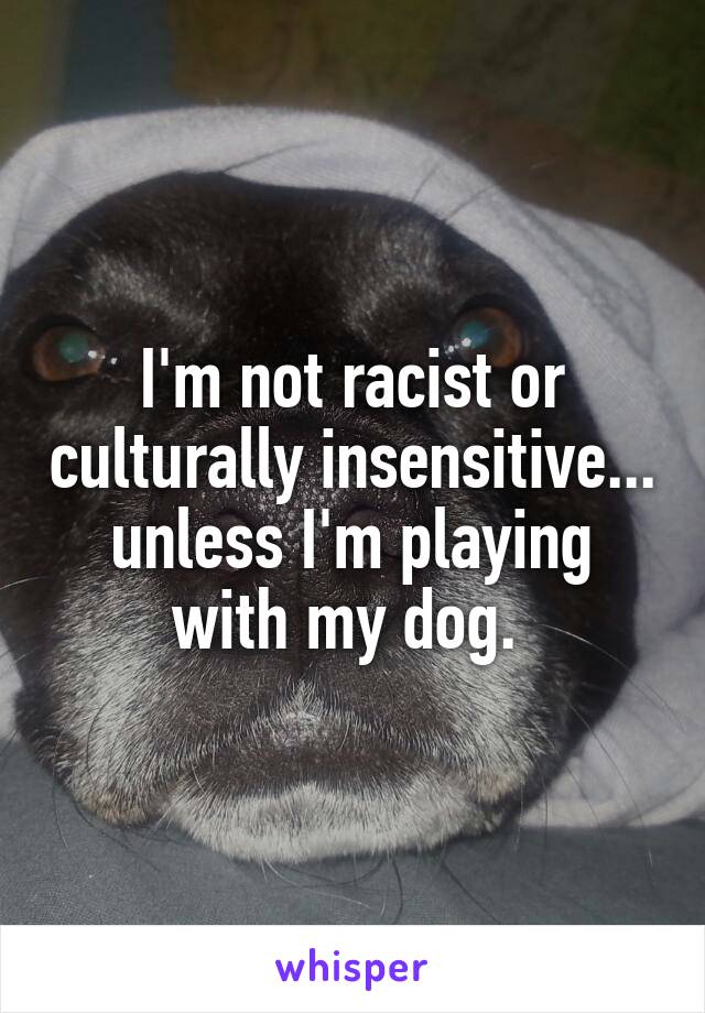 I'm not racist or culturally insensitive... unless I'm playing with my dog. 
