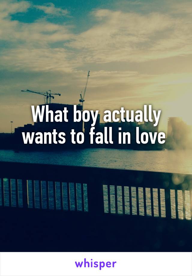 What boy actually wants to fall in love 
