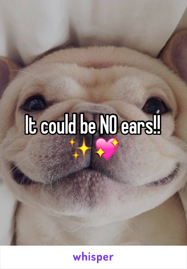 It could be NO ears!! ✨💖