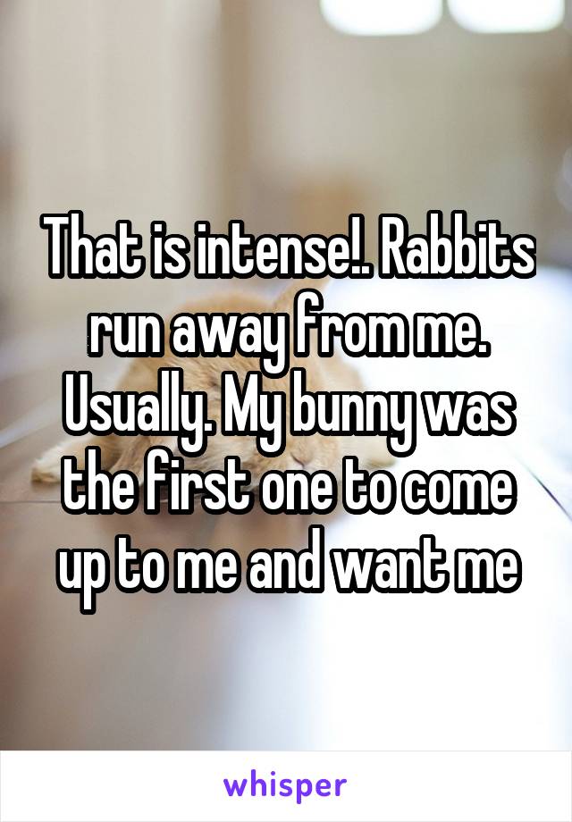 That is intense!. Rabbits run away from me. Usually. My bunny was the first one to come up to me and want me