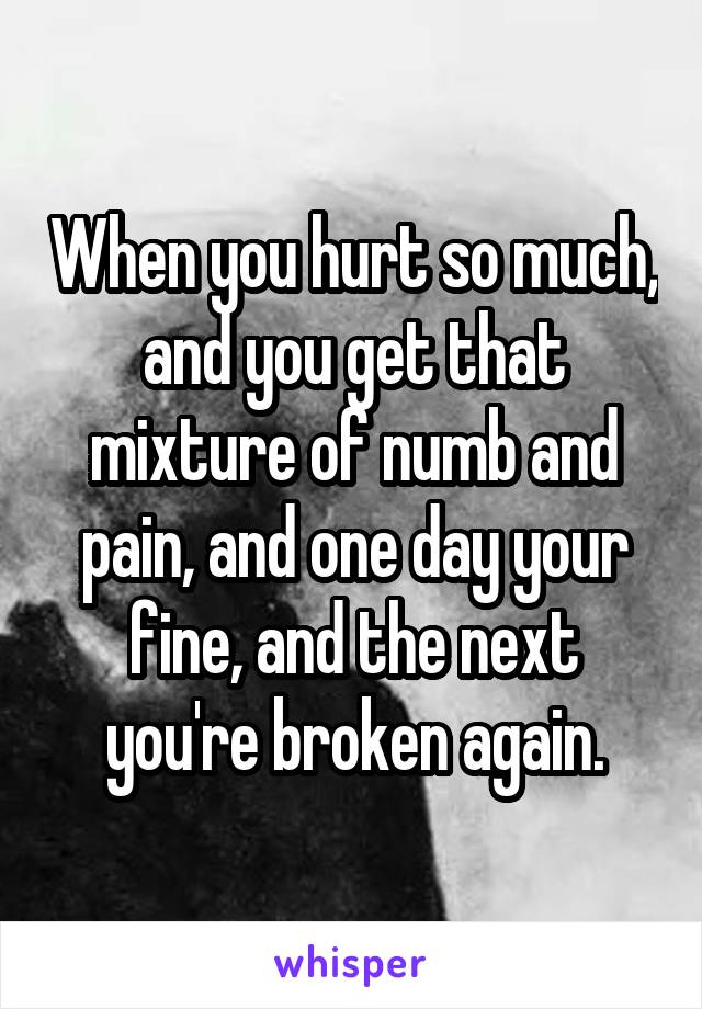 When you hurt so much, and you get that mixture of numb and pain, and one day your fine, and the next you're broken again.