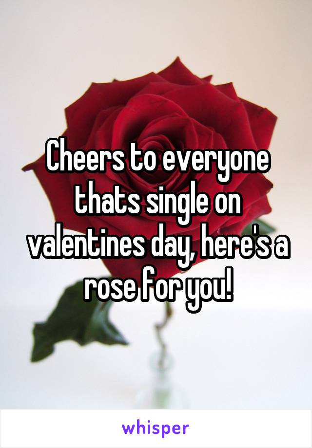 Cheers to everyone thats single on valentines day, here's a rose for you!