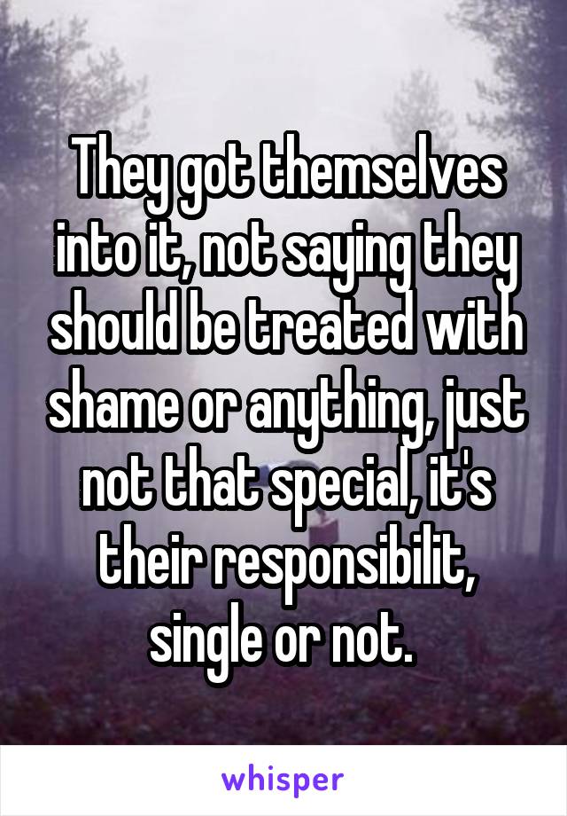 They got themselves into it, not saying they should be treated with shame or anything, just not that special, it's their responsibilit, single or not. 