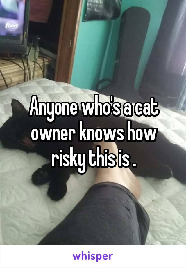 Anyone who's a cat owner knows how risky this is .