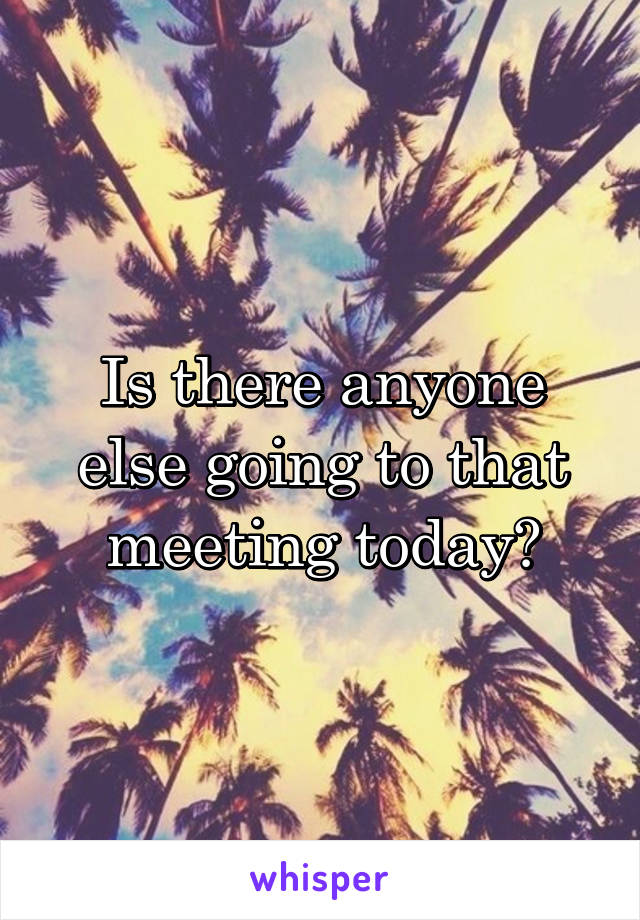 Is there anyone else going to that meeting today?