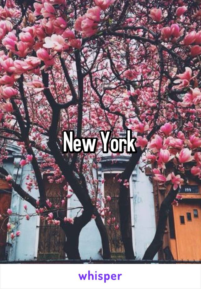 New York 