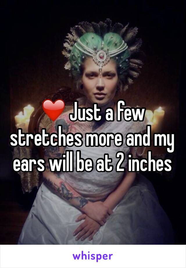❤️ Just a few stretches more and my ears will be at 2 inches 