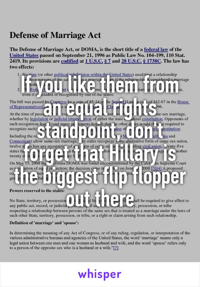 If you like them from an equal rights standpoint, don't forget that Hillary is the biggest flip flopper out there